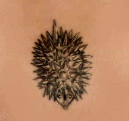 "How do porcupines mate?"- very carefully. No surprise that it was the first thing I got inked. 
